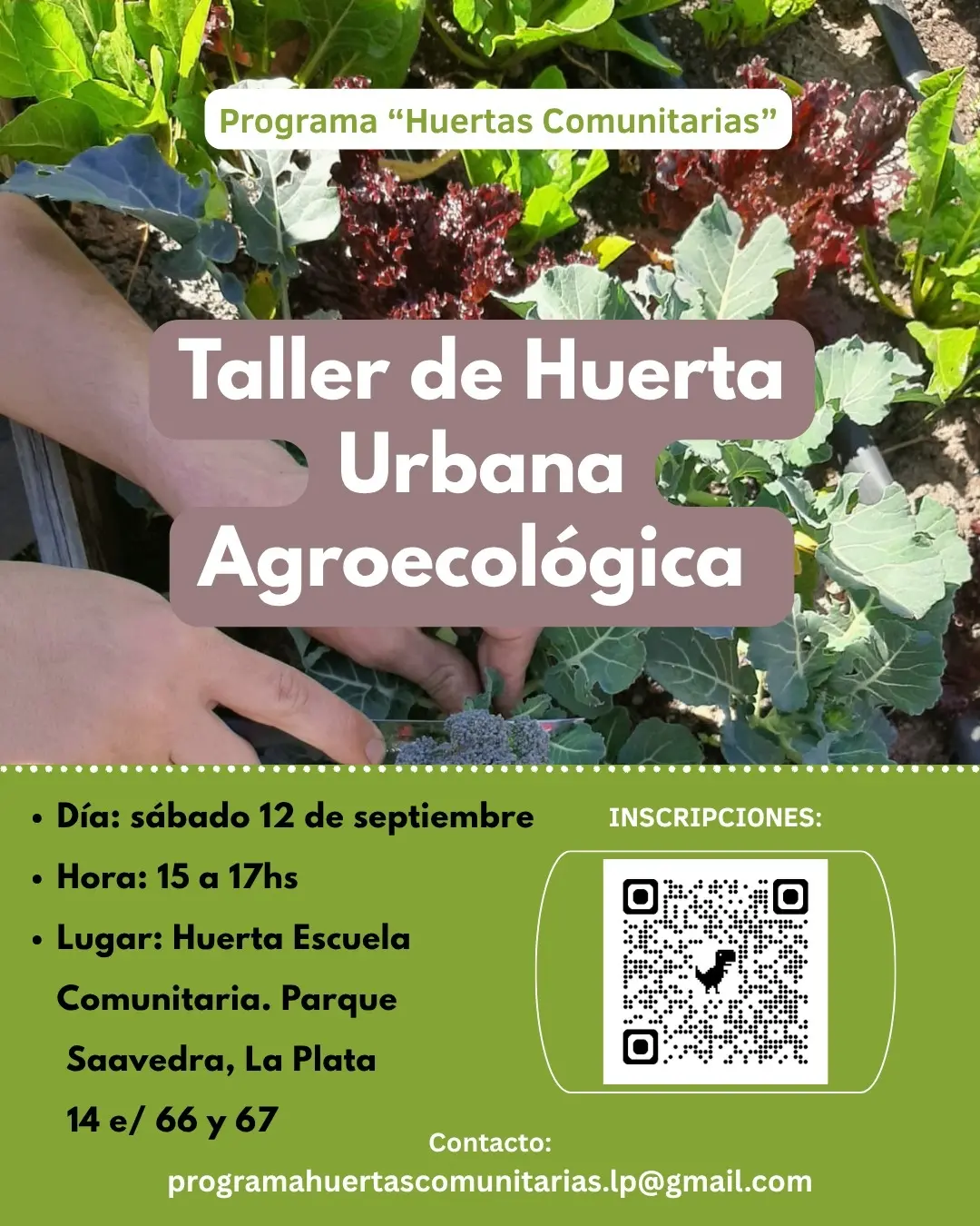 Flyer o material adjunto