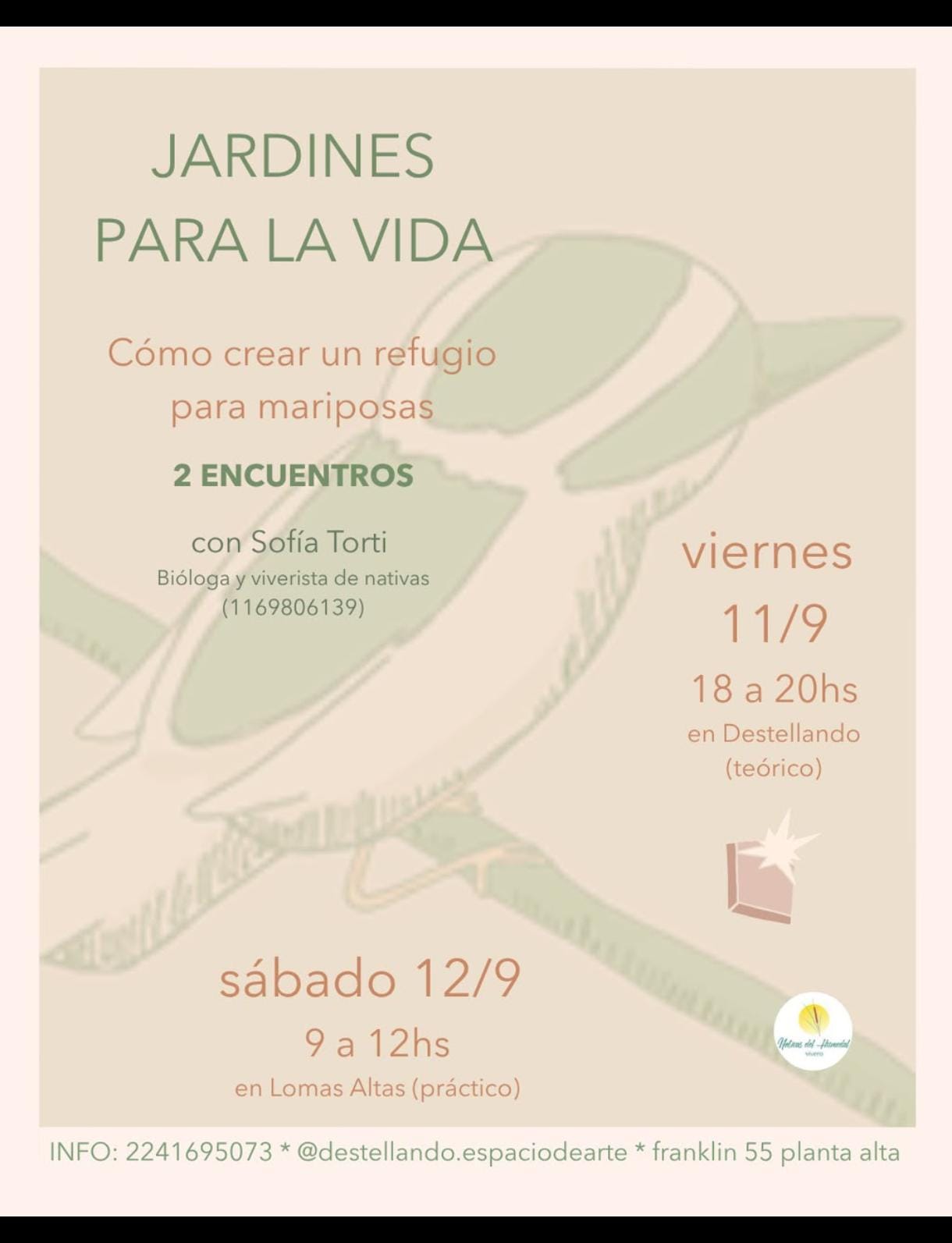 Flyer o material adjunto