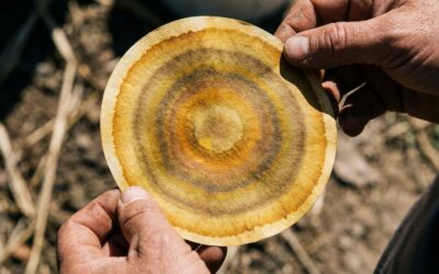 Campesinos colombianos se reúnen en la escuela agroecológica del Sumapaz