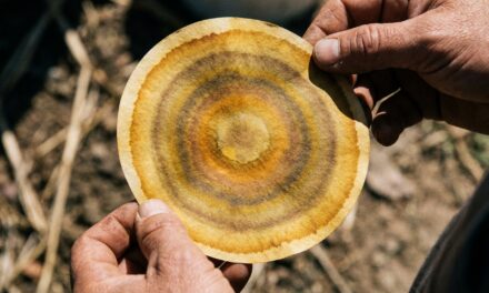 Campesinos colombianos se reúnen en la escuela agroecológica del Sumapaz