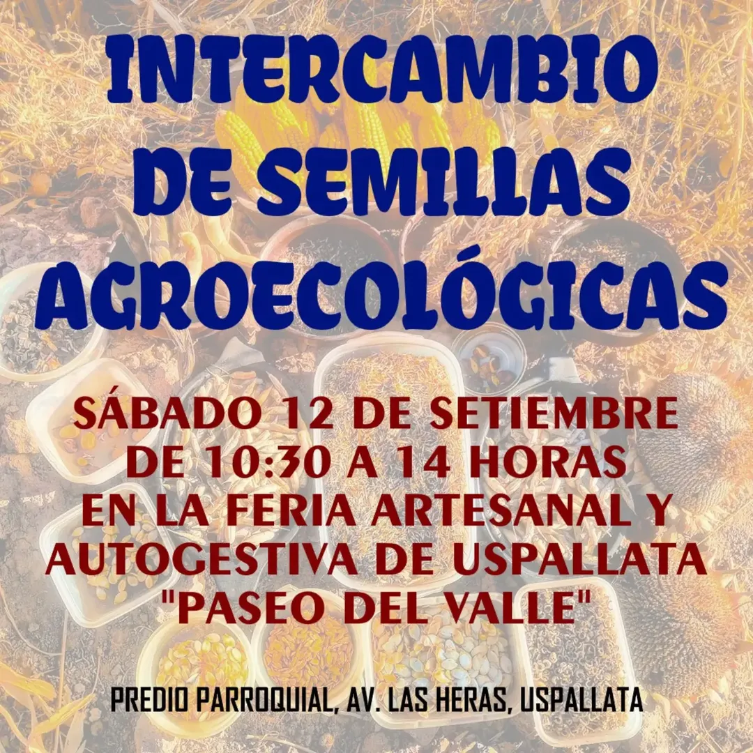 Flyer o material adjunto