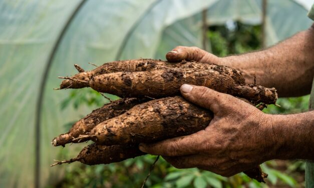 Brasil abre el debate virtual sobre políticas de soberanía alimentaria