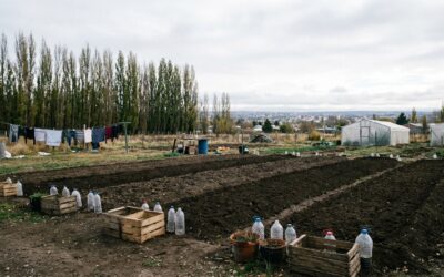 Cipolletti abre la inscripción para un taller gratuito de huerta