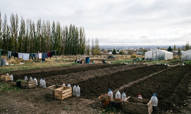 Cipolletti abre la inscripción para un taller gratuito de huerta