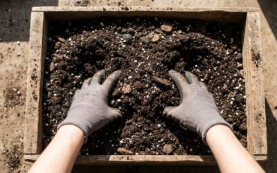 Córdoba inscribe a un taller gratuito para iniciar huertas agroecológicas