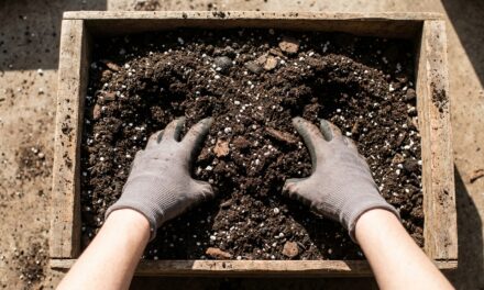 Córdoba inscribe a un taller gratuito para iniciar huertas agroecológicas