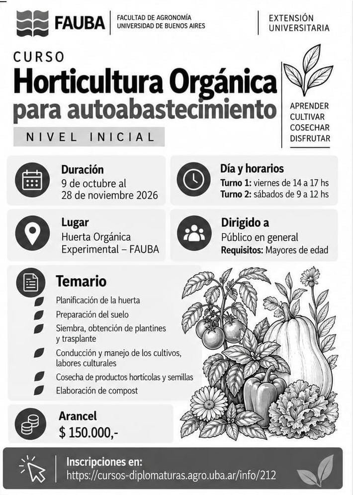 Flyer o material adjunto