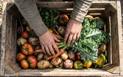 Analizarán el modelo colombiano de mercados agroecológicos en red