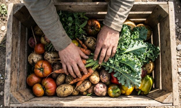 Analizarán el modelo colombiano de mercados agroecológicos en red