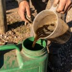 Jornada de bioinsumos reunió al sector frutihortícola en Parada Robles