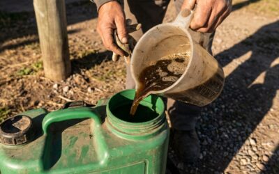 Jornada de bioinsumos reunió al sector frutihortícola en Parada Robles