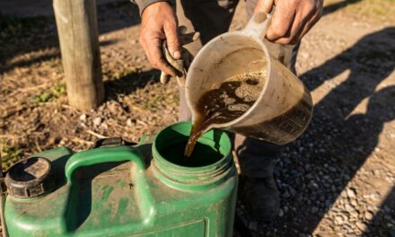 Jornada de bioinsumos reunió al sector frutihortícola en Parada Robles